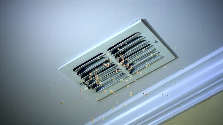 Best Ventilation Cleaning Services  in Jackson, GA