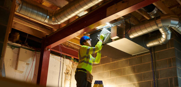 Best Air Duct Mold Removal  in Jackson, GA