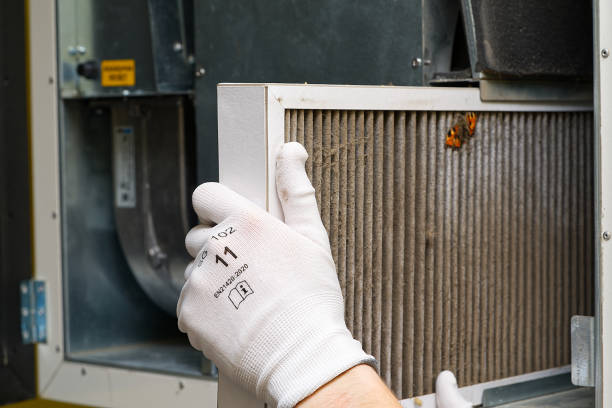 Air Duct Mold Removal in GA